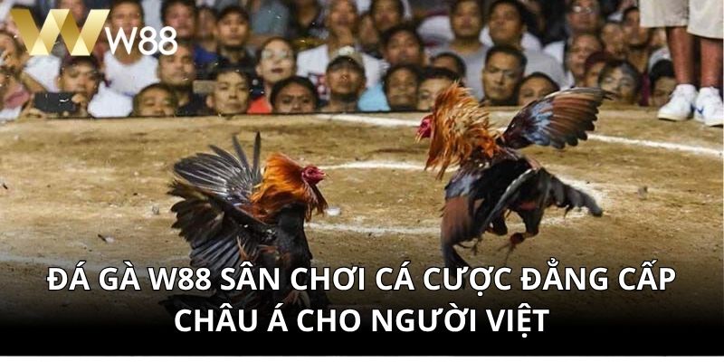 Đá Gà W88 Sân Chơi Cá Cược Đẳng Cấp Châu Á Cho Người Việt